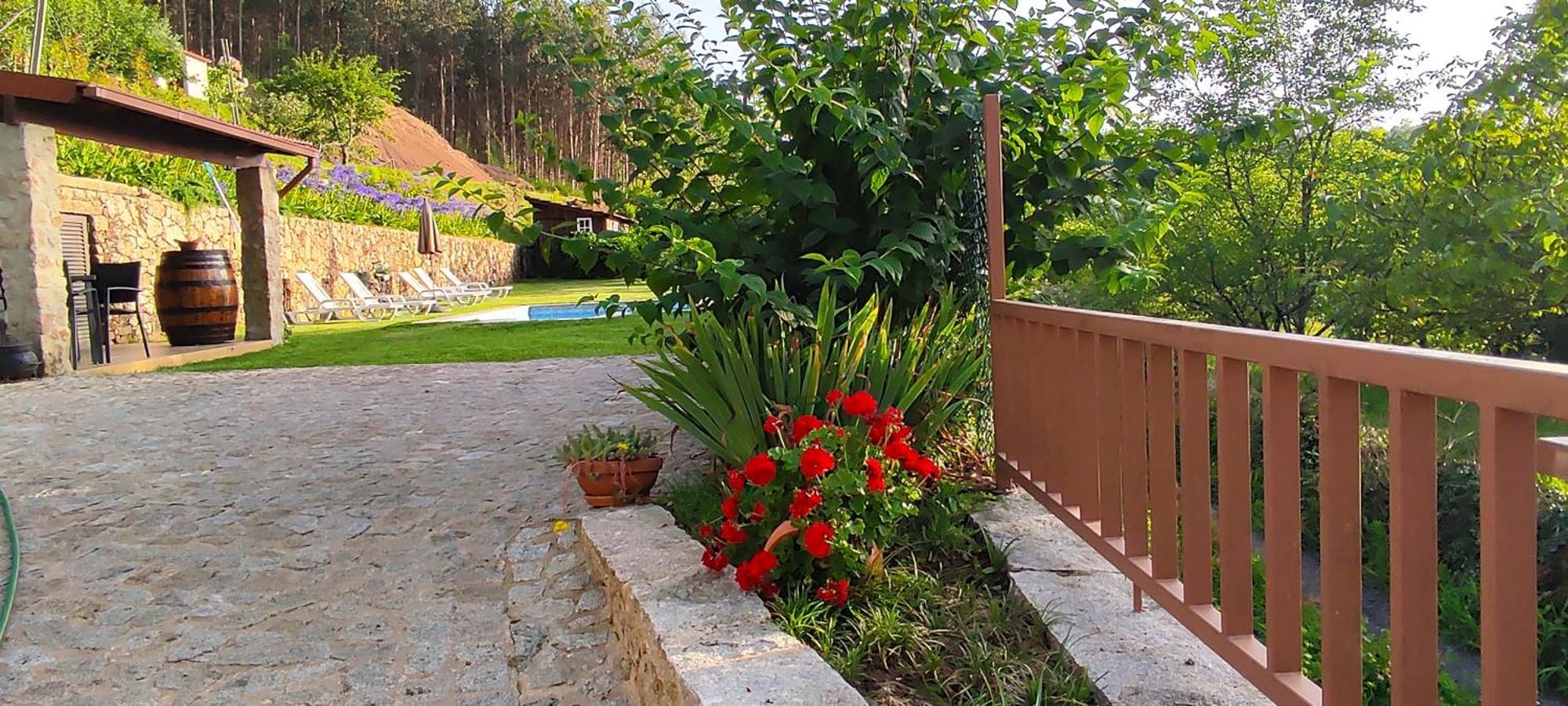 Villa Casa Do Ribeiro Sever do Vouga Exterior foto
