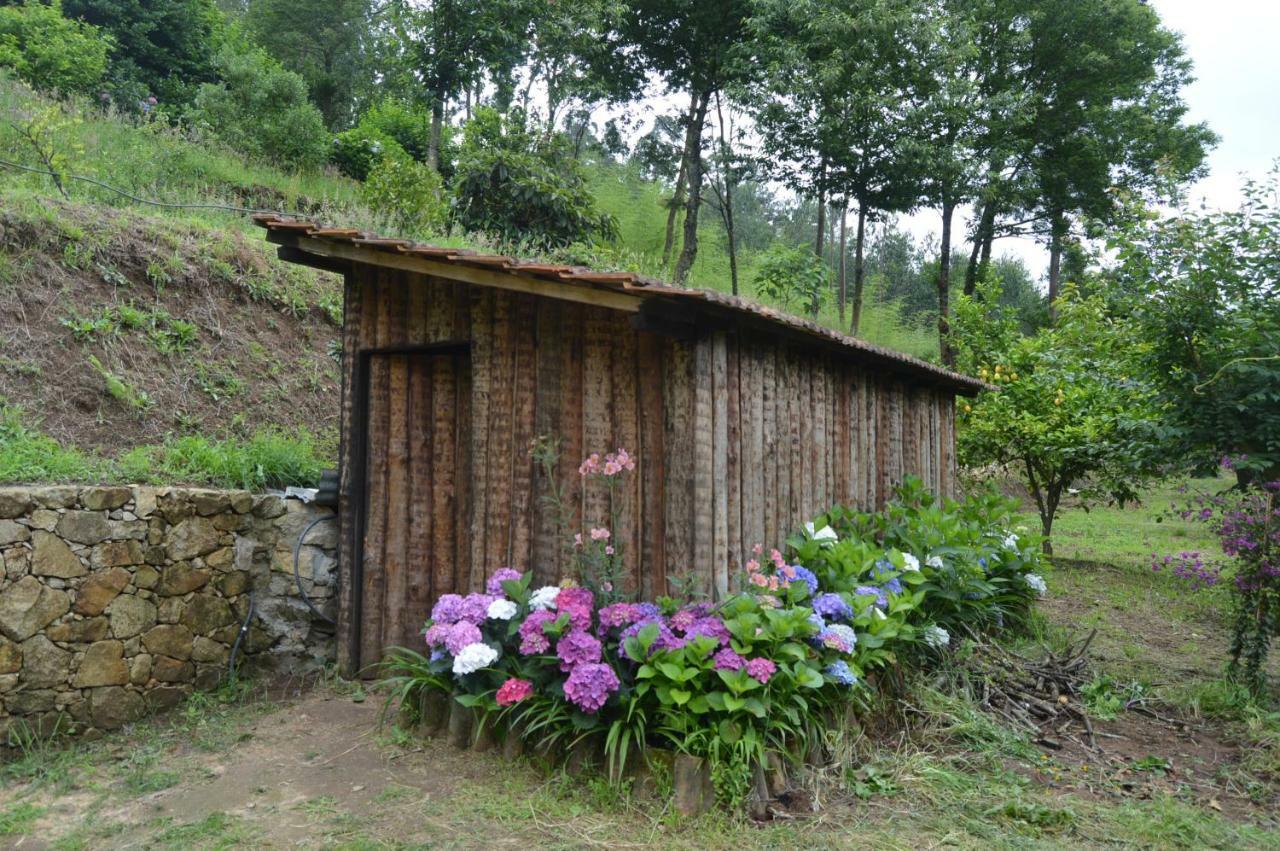 Casa Do Ribeiro Villa Sever do Vouga Exterior foto